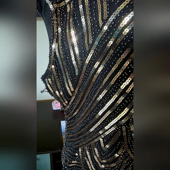 1920s Great Gatsby Flapper Plus Size Sequin Fringe Cap Sleeve Dress Vintage 2X - Picture 7 of 15